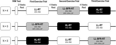 Effects of low-load blood flow restriction on the venous system in comparison to traditional low-load and high-load exercises